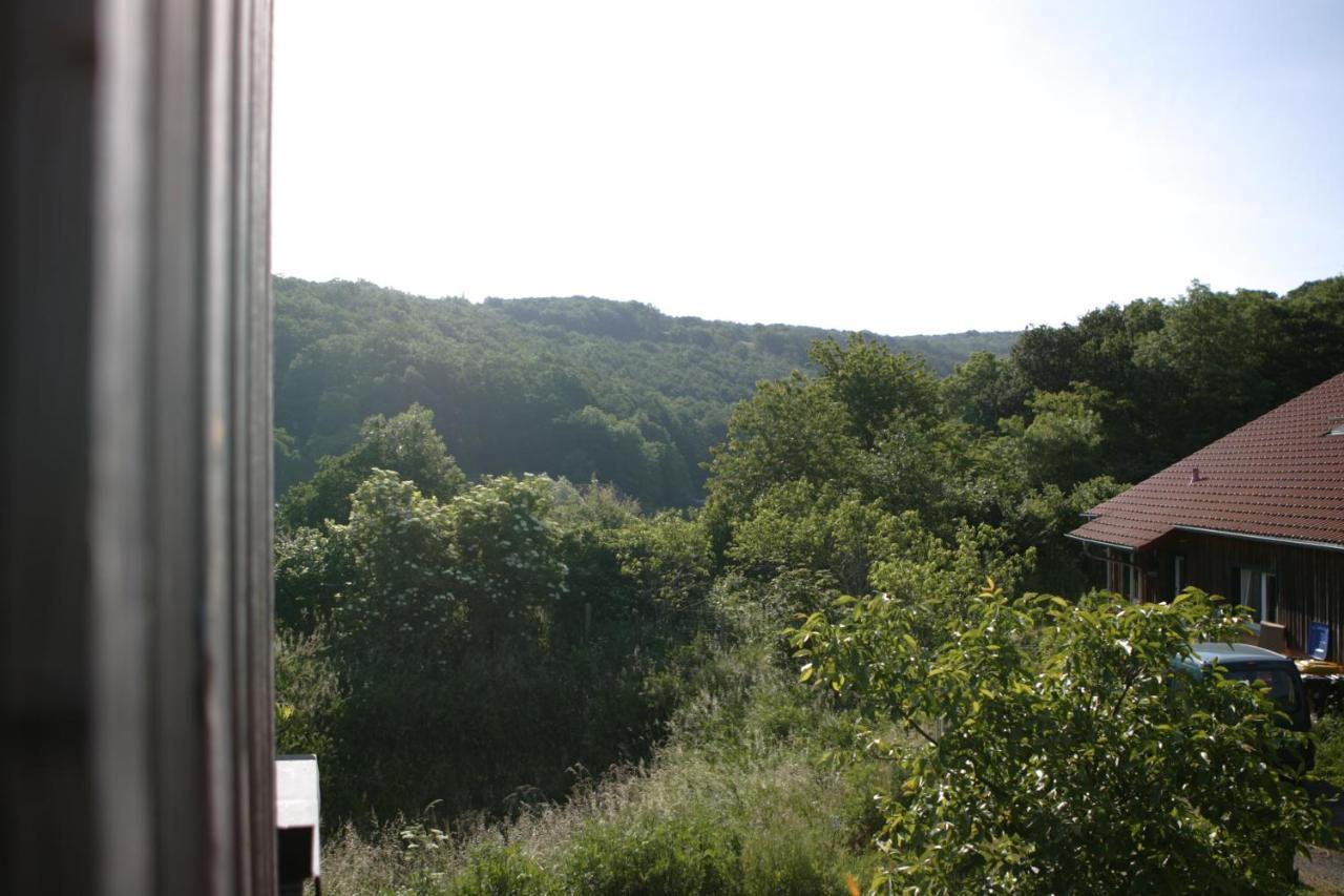 Rech Hof Urlaub Auf Dem Bauernhof Διαμέρισμα Schalkenbach Εξωτερικό φωτογραφία