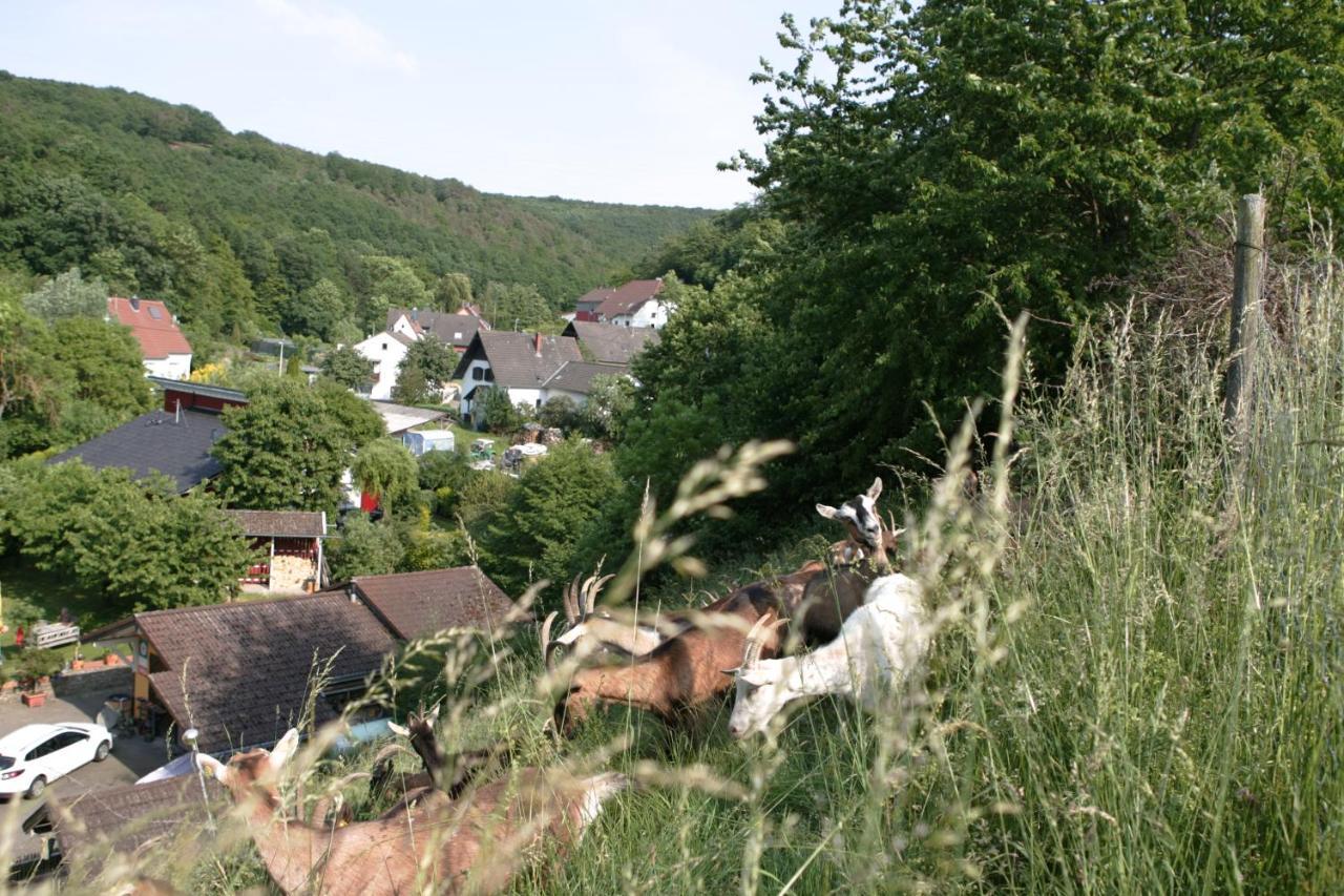 Rech Hof Urlaub Auf Dem Bauernhof Διαμέρισμα Schalkenbach Εξωτερικό φωτογραφία